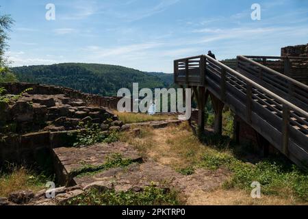 Lützelburg, Burgruine Château de Lutzelbourg im lothringischen Teil der Vogesen Stockfoto