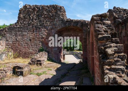 Lützelburg, Burgruine Château de Lutzelbourg im lothringischen Teil der Vogesen Stockfoto