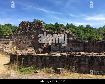 Lützelburg, Burgruine Château de Lutzelbourg im lothringischen Teil der Vogesen Stockfoto