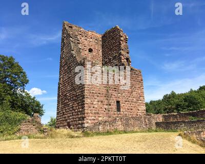 Lützelburg, Burgruine Château de Lutzelbourg im lothringischen Teil der Vogesen Stockfoto