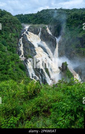 Der Nebel bedeckte die Barron Falls, die während der nassen Jahreszeit im Norden von Queensland in Australien über die malerische Schlucht des Barron River schlüpfen. Stockfoto