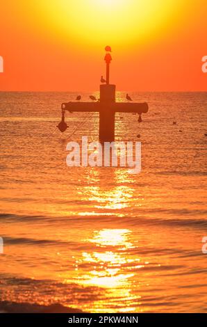 Sommermorgen Küstenlandschaft. Sonne und Vögel über der Ostsee. Foto am Strand in Gdynia, Polen. Stockfoto