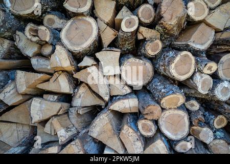 Sauber gestapeltes Brennholz im Schuppen von North Carolina Stockfoto