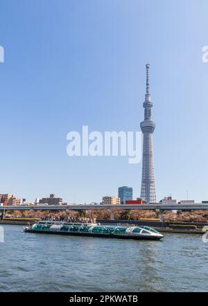 Tokio, Japan - 20. März 2023: Tokyo Skytree Tower in Tokio, Japan. Der Fernsehturm ist das 2. höchste Gebäude der Welt. Stockfoto