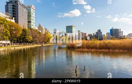 Tokio, Japan - 20. März 2023: Stadtbild von Tokio und Shinobazuno-Teich vom Ueno-Park in Tokio, Japan aus gesehen. Stockfoto