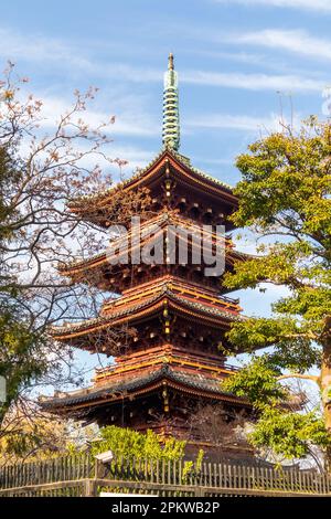 Fünfstöckige Pagode des Kaneiji Tempels im Ueno Park in Tokio, Japan Stockfoto