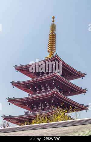 Traditionelle Pagode im buddhistischen Senso-ji-Tempel in Tokio, Japan Stockfoto