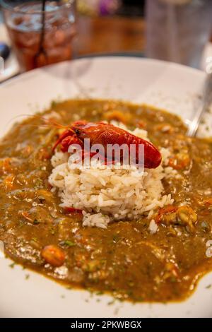 Flusskrebse Etouffee serviert und plattiert Stockfoto