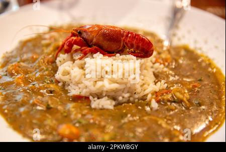 Flusskrebse Etouffee serviert mit Reis Stockfoto