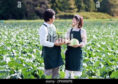Japanische Familie, die im Gemüsegarten arbeitet Stockfoto