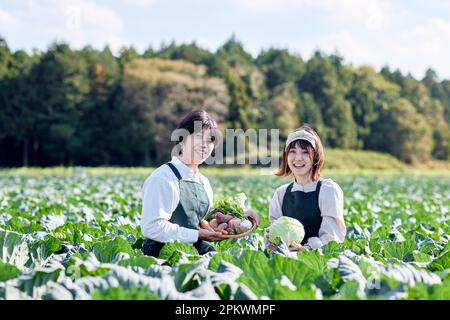 Japanische Familie, die im Gemüsegarten arbeitet Stockfoto