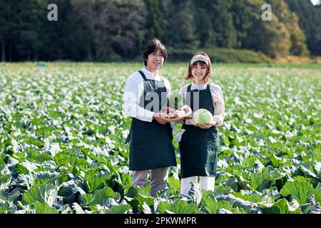 Japanische Familie, die im Gemüsegarten arbeitet Stockfoto
