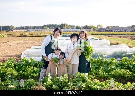 Japanische Familie, die im Gemüsegarten arbeitet Stockfoto