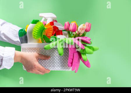 Set mit Reinigungsmitteln und Utensilien, mit Frühlingsblumen auf pastellgrünem Hintergrund. Frühjahrshausreinigungskonzept. Frauenhände halten sp Stockfoto