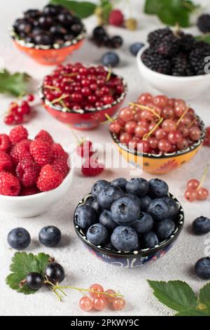 Sommerkonzept mit Vitaminen, verschiedene Beeren - Heidelbeere, Himbeere, Brombeere, rot-weiße und schwarze Johannisbeere in Schüsseln Stockfoto