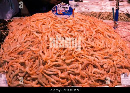 Frische Garnelen im „Mercado Central de Atarazanas“, Altstadt von Malaga, Andalusien, Costa del Sol, Spanien, Europa Stockfoto