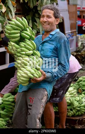 Ein fröhlicher Marktmitarbeiter am Matunga Market in Matunga East, Mumbai, Indien, mit einem großen Haufen unreifer Bananen, geliefert von Tamil Nadu Stockfoto