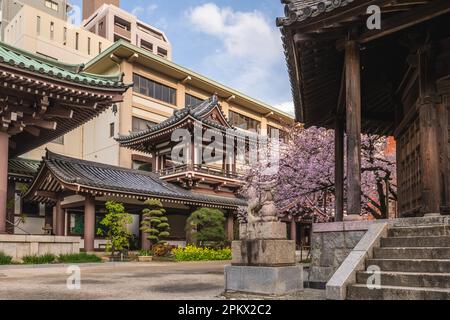 Tochoji, ein Shingon-Tempel in Hakata, Fukuoka, Japan. Stockfoto