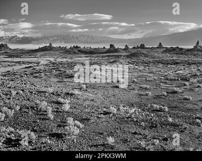 Felsformationen bei den Trona Pinnacles. Stockfoto