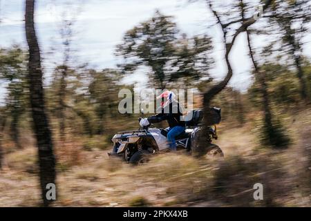 Ein Foto von einem Mann, der auf einem Quad zwischen den Wäldern fährt Stockfoto