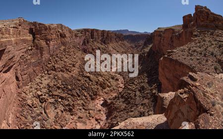 North Fork des Lower Soap Creek Canyon AZ Stockfoto