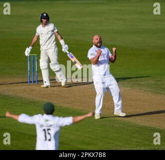 Joe Leach aus Worcestershire appelliert erfolgreich an das Wicket von Wayne Madsen aus Derbyshire in einem County Championship Match Stockfoto