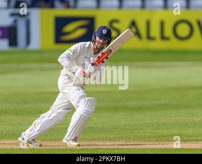 Derbyshire Captain Leus du Plooy schlägt in einem County Championship-Spiel zwischen Derbyshire und Worcestershire Stockfoto