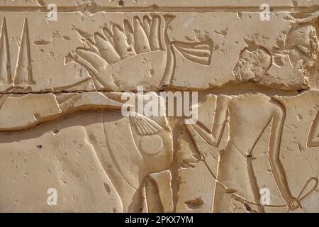 Heilige Stierkultur im Tempel von Ramesses II. In der Nähe des Tempels von Seti I in Abydos, Ägypten Stockfoto