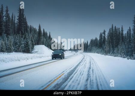 Autofahrt auf der Straße durch verschneiten Pinienwald und Schneesturm im Nationalpark an bewölktem Wintertag. Fahrsicherheit bei schlechter Sicht und schlechtem Wetter Stockfoto