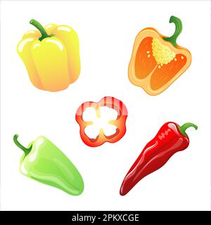 Abbildungen verschiedener Paprika-Sorten Stock Vektor
