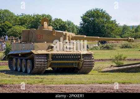 Tiger 131 Stockfoto