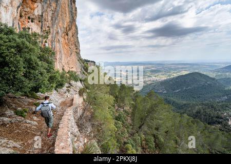 Wanderer auf dem Weg zu den Burgruinen von Castell Alaro, Puig dAlaro, Serra de Tramuntana, Mallorca, Spanien Stockfoto