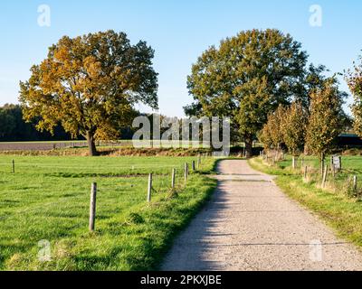 Fußweg und Wiesen auf dem Land in der Nähe der Stadt Ootmarsum, Overijssel, Niederlande Stockfoto