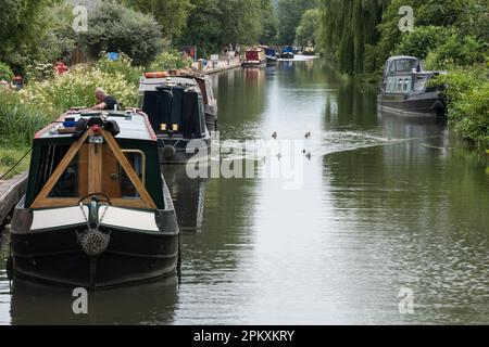 Enge Boote auf dem Kennet und Avon Canal in Aldermaston Berkshire am 5. Juli 2015. Nicht identifizierte Personen Stockfoto