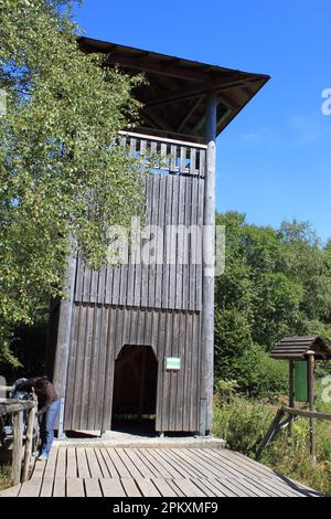 Aussichtsturm, Schwarzes Moor, Rhoen, Hessen, Deutschland Stockfoto