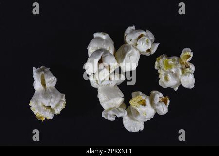 Das Bild des isolierten weißen Popcorns auf schwarzem Hintergrund. Popcorn ist eine Vielzahl von Maiskernen, die sich beim Erwärmen ausdehnen und aufblasen; die gleichen Namen sind auch vorhanden