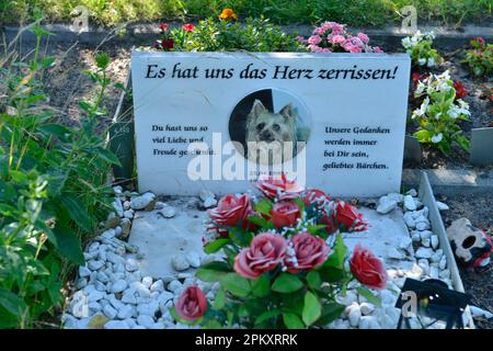 Tierfriedhof, Hausvaterweg, Falkenberg, Lichtenberg, Berlin, Deutschland Stockfoto