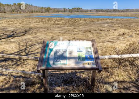 Informationstafel im rachel carson National Wildlife Refuge Stockfoto