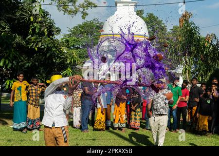 Colombo, Sri Lanka. 09. April 2023. Sri-lankische damma-Schüler nehmen an einer Veranstaltung Teil, bei der am 09. April 2023 in einem Gangarapa-Tempel in Colombo ein hängender Topf mit einem Stock zerbrochen wird, während die Augen verbunden sind, um das singhalesische und tamilische Neujahr zu feiern. Das singhalesische und tamilische Neujahr dämmerte am 13. April. Aber traditionelle Spiele werden auf der ganzen Insel organisiert, um diesen Anlass zu feiern. (Foto: Vimukthi Embuldeniya/Pacific Press) Kredit: Pacific Press Media Production Corp./Alamy Live News Stockfoto