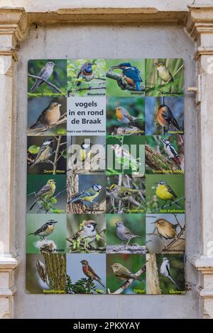 Paterswolde, Niederlande - 27. März 2023: Überblick über die Vögel, die im Estate De Braak in der Gemeinde Paterwolde Tynaarlo in Drenthe, Niederlande leben Stockfoto