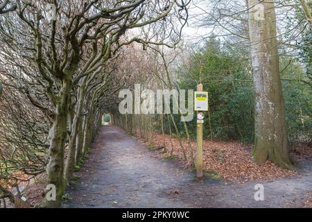 Paterswolde, Niederlande - 27. März 2023:Berceau Estate De Braak in Paterwolde Municipality Tynaarlo in Drenthe Niederlande Stockfoto