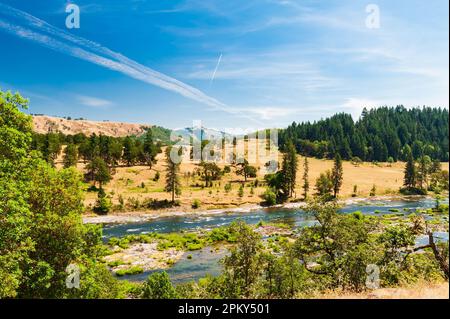 Malerische Landschaften am Umpqua River im Bundesstaat Oregon, USA Stockfoto