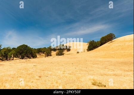 Wunderschönes Ackerland in Glide, Oregon, USA Stockfoto