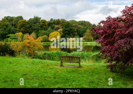 Bank neben einem See mit bunten Bäumen und bewölktem Himmel Stockfoto