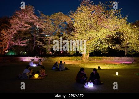 Tokio, Japan. 10. April 2023. Die Menschen genießen den Blick auf die beleuchteten blühenden Kirschblüten im Sakura Night Garden Illumination im Shinjuku Gyoen Park in Tokio, Japan, am 10. April 2023. Kredit: Zhang Xiaoyu/Xinhua/Alamy Live News Stockfoto