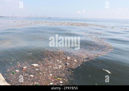 Rio de Janeiro, Rio de Janeiro, Brasilien. 10. April 2023. (INT) Viel Müll und Schmutz auf Postkarten aus Rio de Janeiro. 10. April 2023. Rio de Janeiro, Brasilien: Müll und Schmutz, aufgenommen am Morgen des Montag, den 10. April 2023, im Meer von Baia da Guanabara, rund um das Museum von morgen, einer der meistbesuchten Orte von Touristen in Praca Maua, im Hafengebiet von Rio de Janeiro. (Kreditbild: © Jose Lucena/TheNEWS2 via ZUMA Press Wire) NUR REDAKTIONELLE VERWENDUNG! Nicht für den kommerziellen GEBRAUCH! Stockfoto