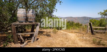 Matetic Weinberg in El Rosario Valley, Chile. Stockfoto