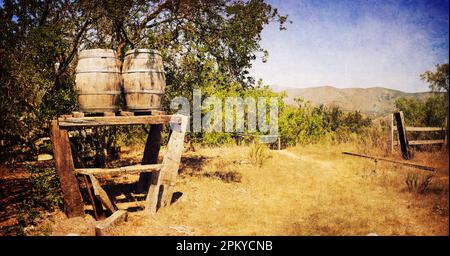 Matetic Weinberg in El Rosario Valley, Chile. Stockfoto