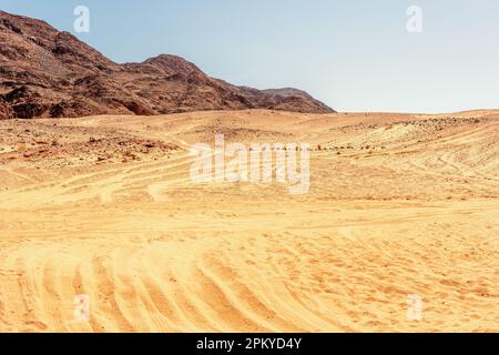 Wunderschöne Wüstenlandschaft mit orangefarbenem Sand auf der Halbinsel Sinai, Ägypten. Stockfoto