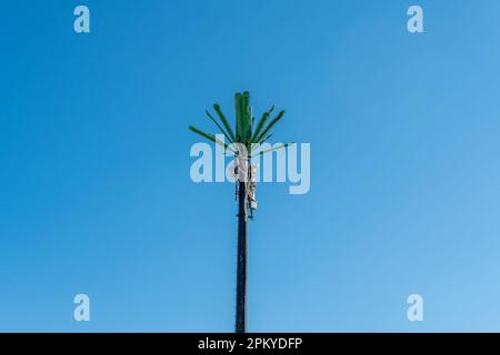 Handymast in Ägypten oder Handyantenne, getarnt auf gefälschter Palme. Stockfoto